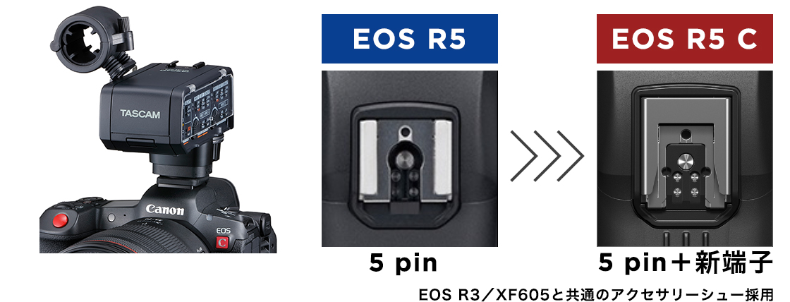 EOS R5 C_22